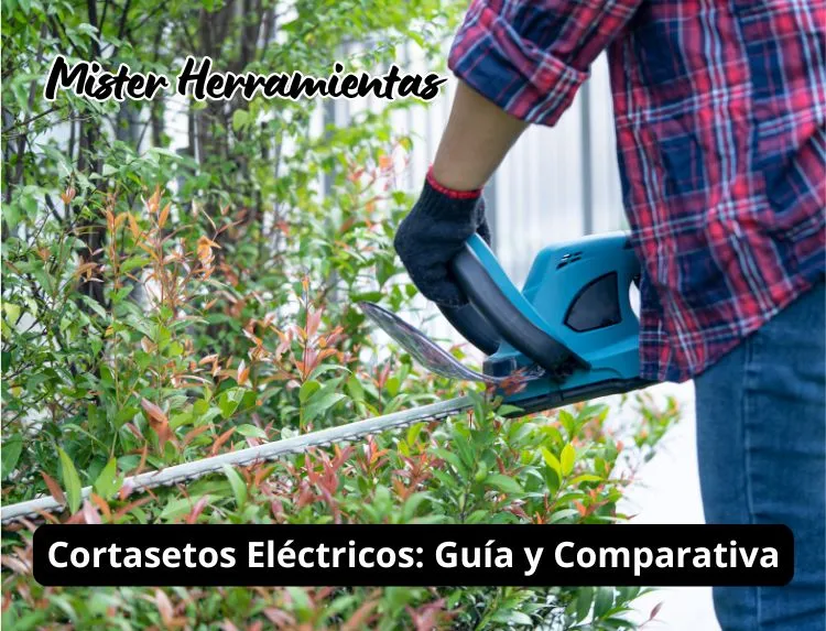 Hombre cortando un seto con un cortasetos eléctrico en el jardín