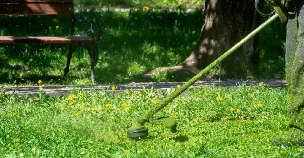 desbrozadora cortando hierba en espacio público con vegetación alta