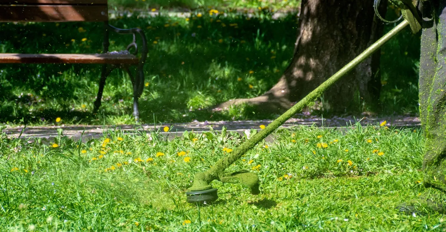 desbrozadora cortando hierba en espacio público con vegetación alta