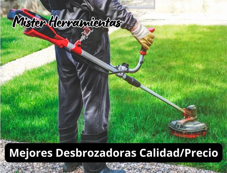 Desbrozadora en uso cortando césped en una parcela