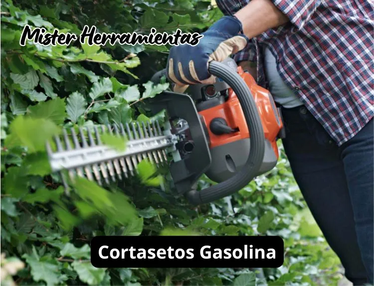 cortasetos de gasolina recortando seto denso en jardín