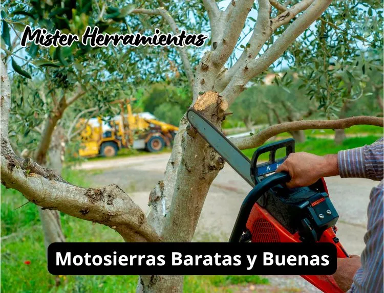 persona podando un olivo con motosierra de gasolina barata en el campo